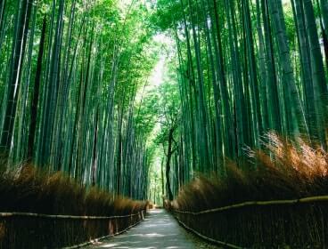 京都観光名所②